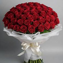 Букет 101 Красная роза Блэк Мэджик в Поселок имени Тельмана