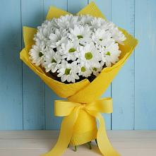 Букет цветов из:  Хризантемы в Поселок имени Тельмана