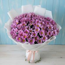 Букет цветов из:  Хризантемы #REPLACE_PRED# Поселок имени Тельмана