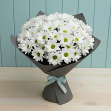 Букет цветов из:  Хризантемы в Поселок имени Тельмана