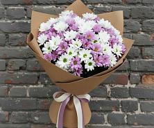 Букет цветов из:  Хризантемы в Поселок имени Тельмана