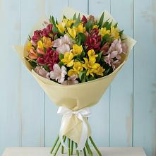 Букет цветов из:  Альстромерии в Поселок имени Тельмана