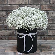 Цветочная композиция из Гипсофила в шляпной коробке в Поселок имени Тельмана