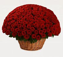 Премиум букет из: Розы #REPLACE_PRED# Поселок имени Тельмана