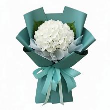 Букет цветов из:  Гортензия в Поселок имени Тельмана